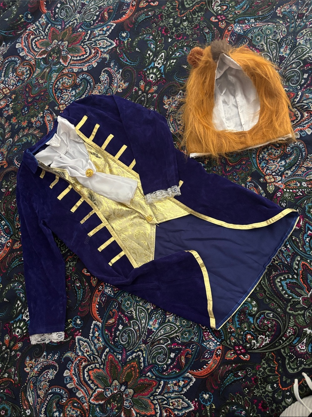 Children's Beast Costume with Mane Hood
